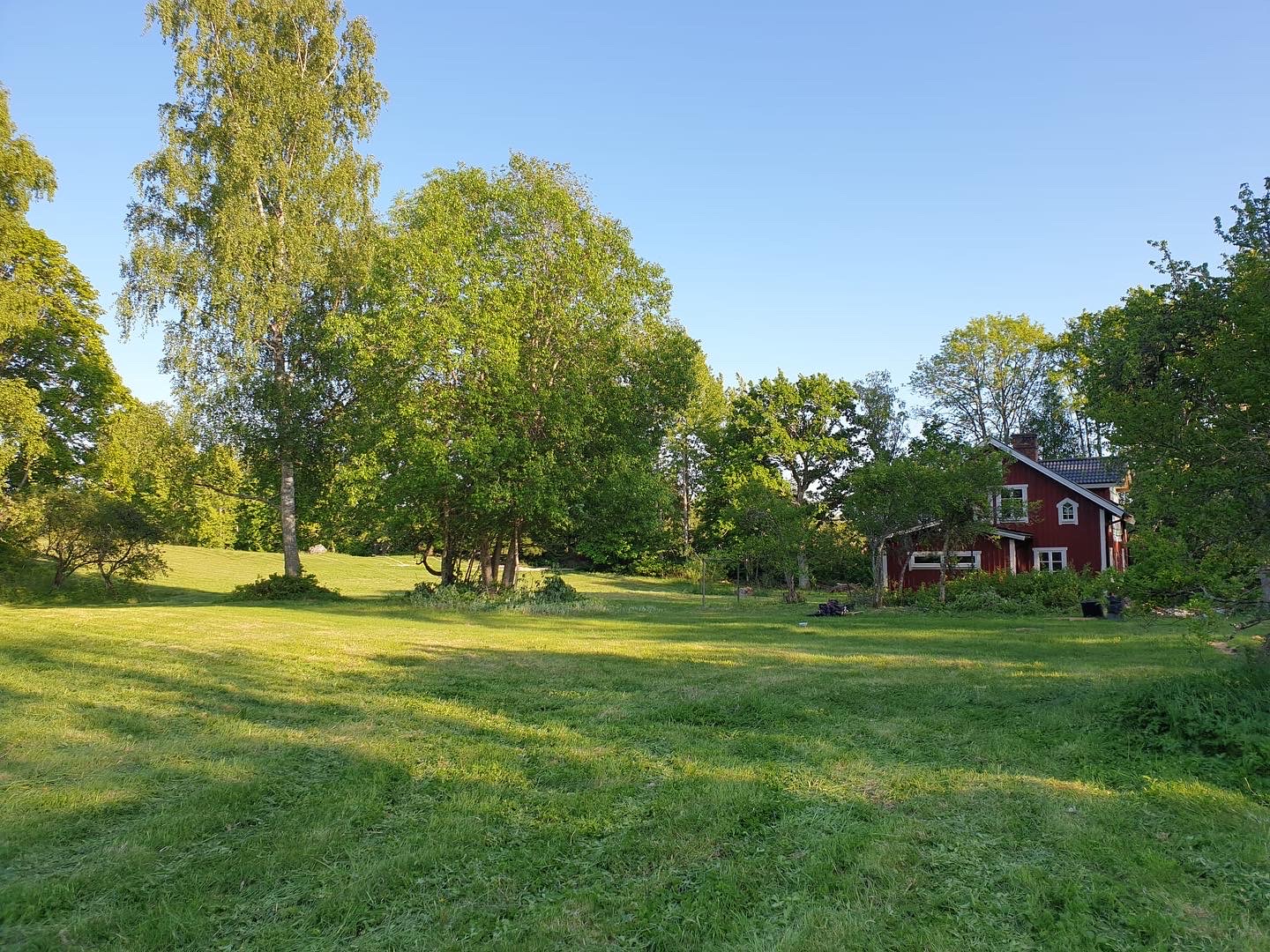 Bild von einem Garten